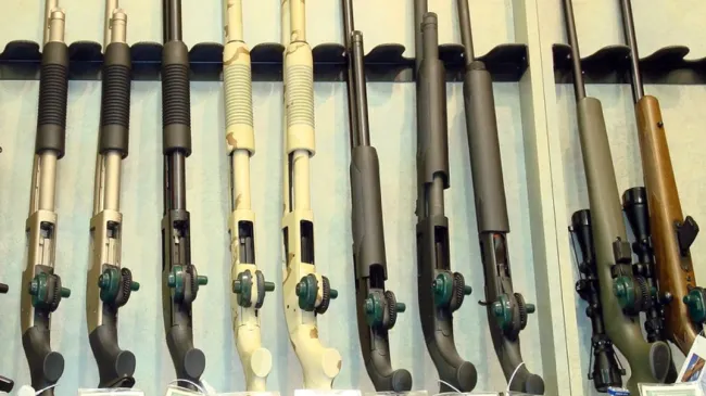 gun